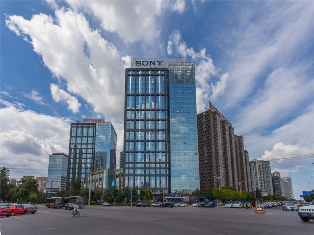 四川国内番茄压片糖果价格